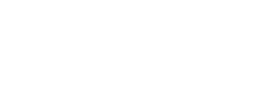 NLS logo